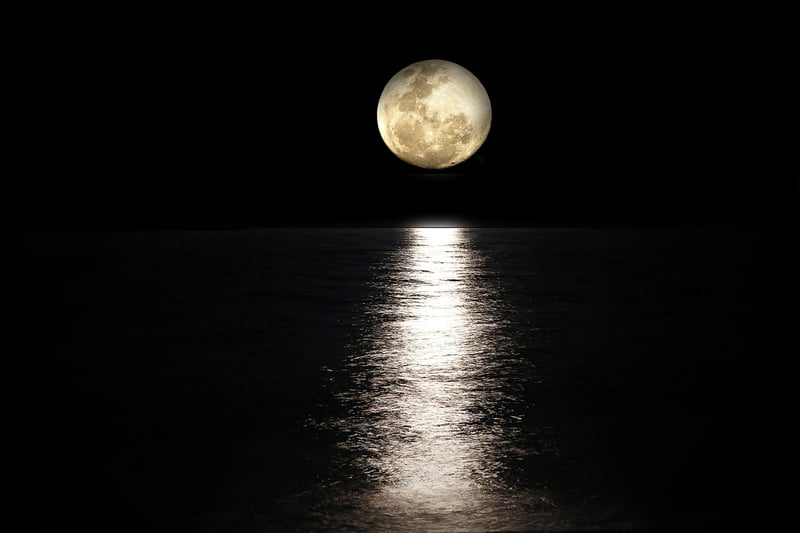 Moon Love